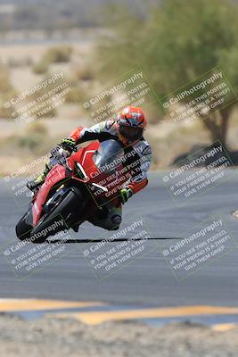 media/May-14-2023-SoCal Trackdays (Sun) [[024eb53b40]]/Turn 5 Tree of Life (1125am)/